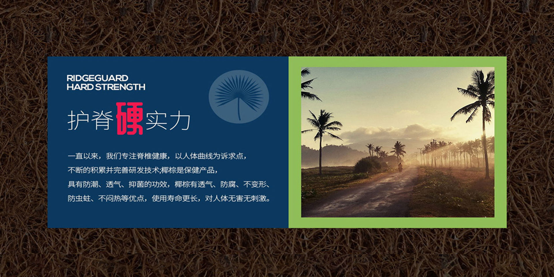 91视频专区