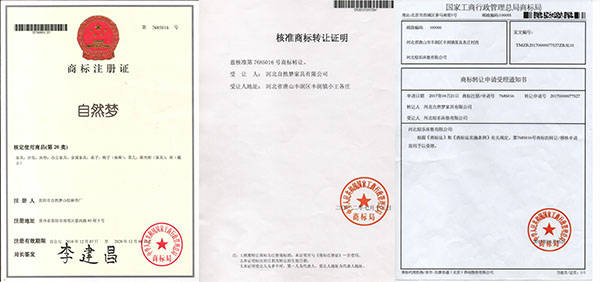 91视频专区