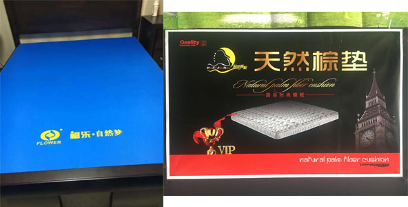 91视频专区