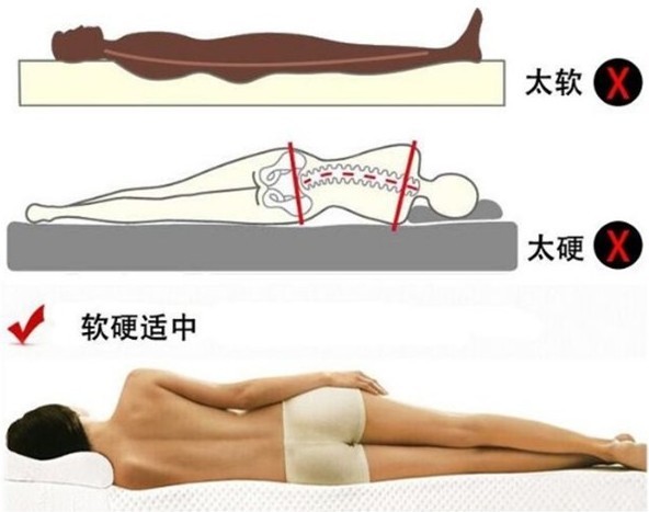 91视频专区