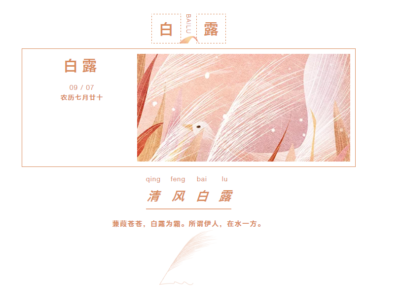 91视频专区 91视频专区